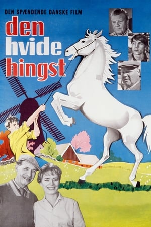 En dvd sur amazon Den hvide hingst