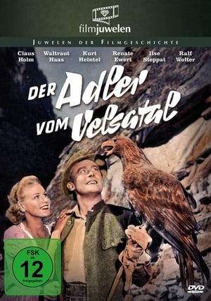 En dvd sur amazon Der Adler vom Velsatal