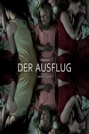 En dvd sur amazon Der Ausflug