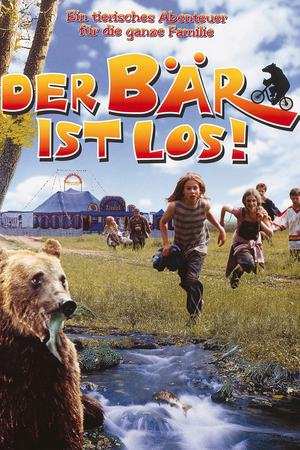 En dvd sur amazon Der Bär ist los!