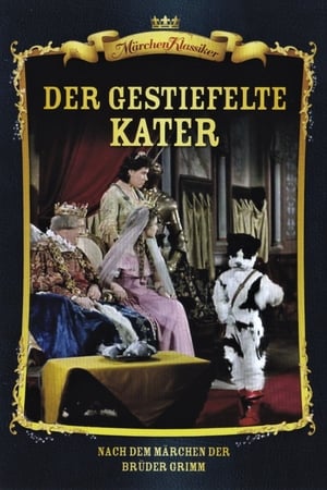 En dvd sur amazon Der gestiefelte Kater