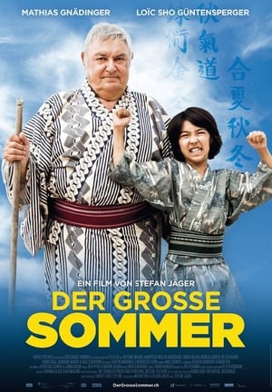 En dvd sur amazon Der grosse Sommer