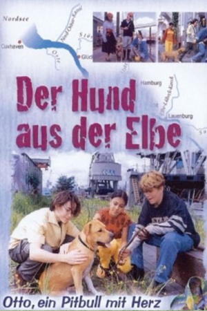 En dvd sur amazon Der Hund aus der Elbe