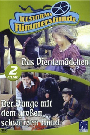 En dvd sur amazon Der Junge mit dem großen schwarzen Hund