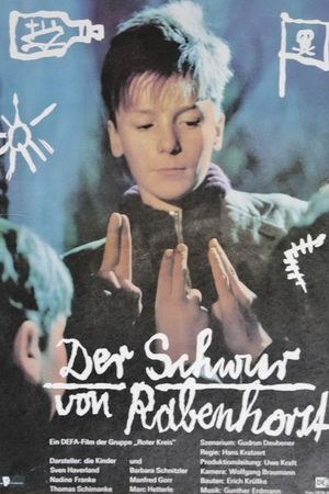 En dvd sur amazon Der Schwur von Rabenhorst