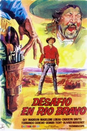 En dvd sur amazon Desafío en Río Bravo