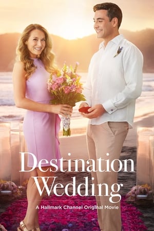 En dvd sur amazon Destination Wedding