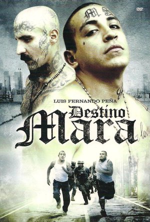 En dvd sur amazon Destino Mara