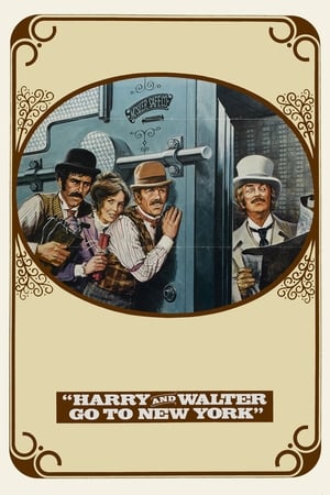 En dvd sur amazon Harry and Walter Go to New York