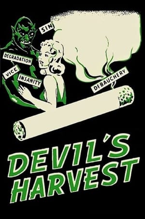 En dvd sur amazon Devil's Harvest