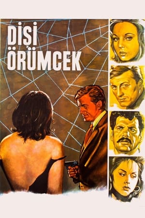 En dvd sur amazon Dişi Örümcek