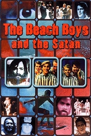 En dvd sur amazon Die Beach Boys und der Satan