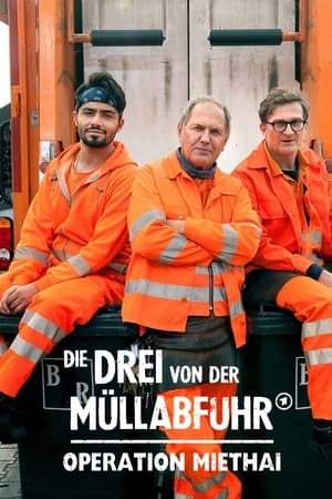 En dvd sur amazon Die Drei von der Müllabfuhr - Operation Miethai