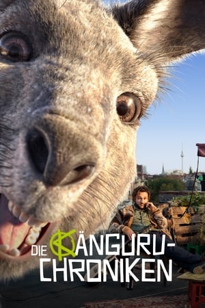 En dvd sur amazon Die Känguru-Chroniken