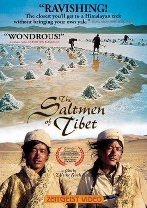 En dvd sur amazon Die Salzmänner von Tibet