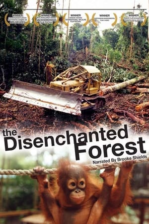 En dvd sur amazon Disenchanted Forest