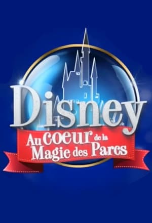 En dvd sur amazon Disney : Au Cœur de la Magie des Parcs