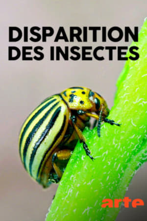 En dvd sur amazon Das große Insektensterben