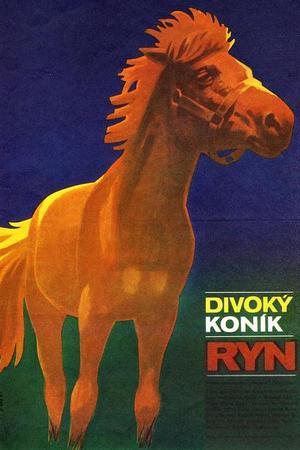 En dvd sur amazon Divoký koník Ryn