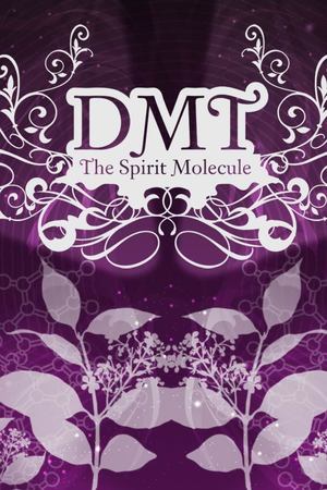 En dvd sur amazon DMT: The Spirit Molecule