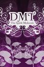 DMT: The Spirit Molecule