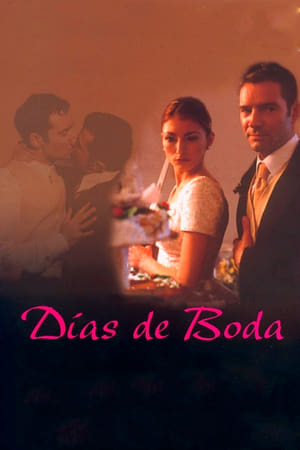 En dvd sur amazon Días de voda