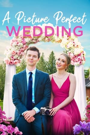 En dvd sur amazon A Picture Perfect Wedding