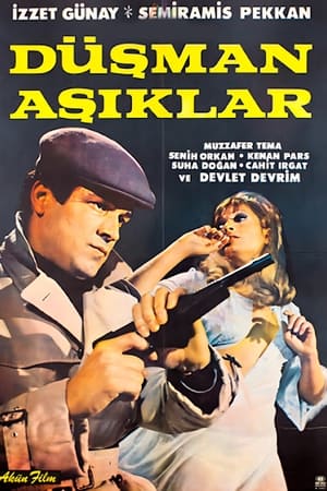 En dvd sur amazon Düşman Aşıklar