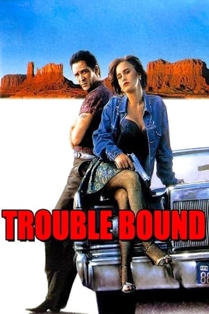 En dvd sur amazon Trouble Bound
