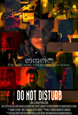 En dvd sur amazon Do Not Disturb