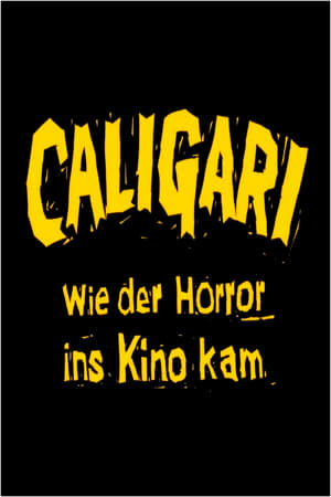 En dvd sur amazon Caligari — Wie der Horror ins Kino kam