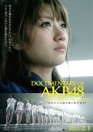 En dvd sur amazon DOCUMENTARY of AKB48 No flower without rain 少女たちは涙の後に何を見る？