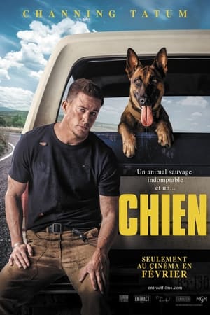 En dvd sur amazon Dog