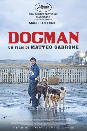 En dvd sur amazon Dogman