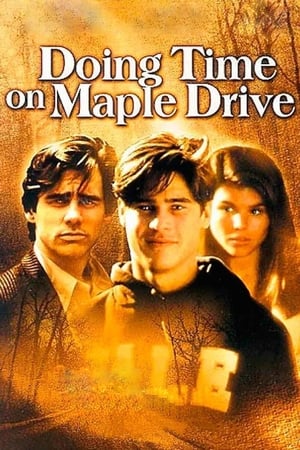 En dvd sur amazon Doing Time on Maple Drive