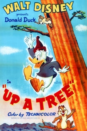 En dvd sur amazon Up a Tree