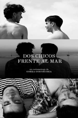 En dvd sur amazon Dos Chicos Frente al Mar