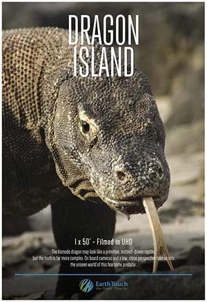 En dvd sur amazon Dragon Island