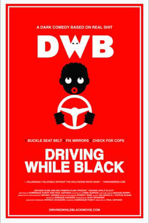 En dvd sur amazon Driving While Black