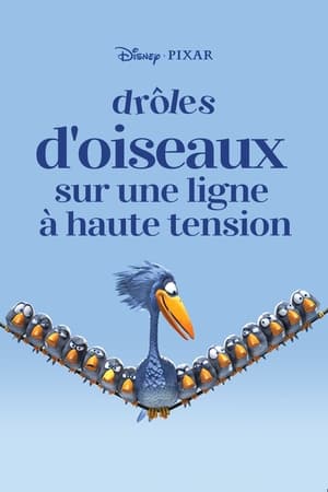 En dvd sur amazon For the Birds