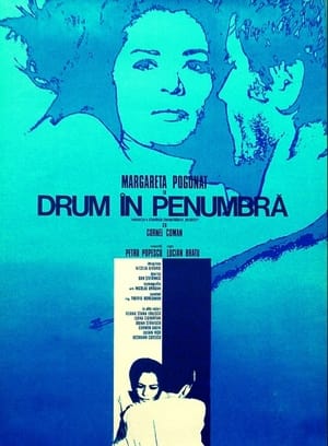 En dvd sur amazon Drum în penumbră