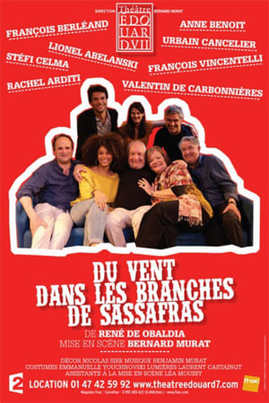 En dvd sur amazon Du vent dans les branches de sassafras