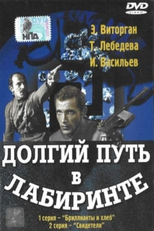 En dvd sur amazon Долгий путь в лабиринте