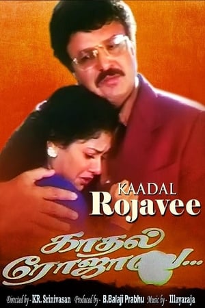 En dvd sur amazon காதல் ரோஜாவே