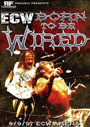 En dvd sur amazon ECW Born To Be Wired