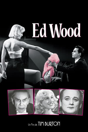 En dvd sur amazon Ed Wood