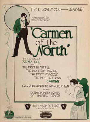 En dvd sur amazon Een Carmen van het Noorden