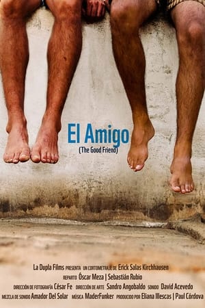 En dvd sur amazon El amigo