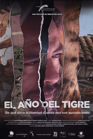 En dvd sur amazon El año del tigre