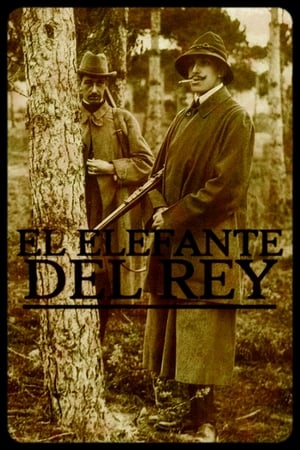 En dvd sur amazon El elefante del rey